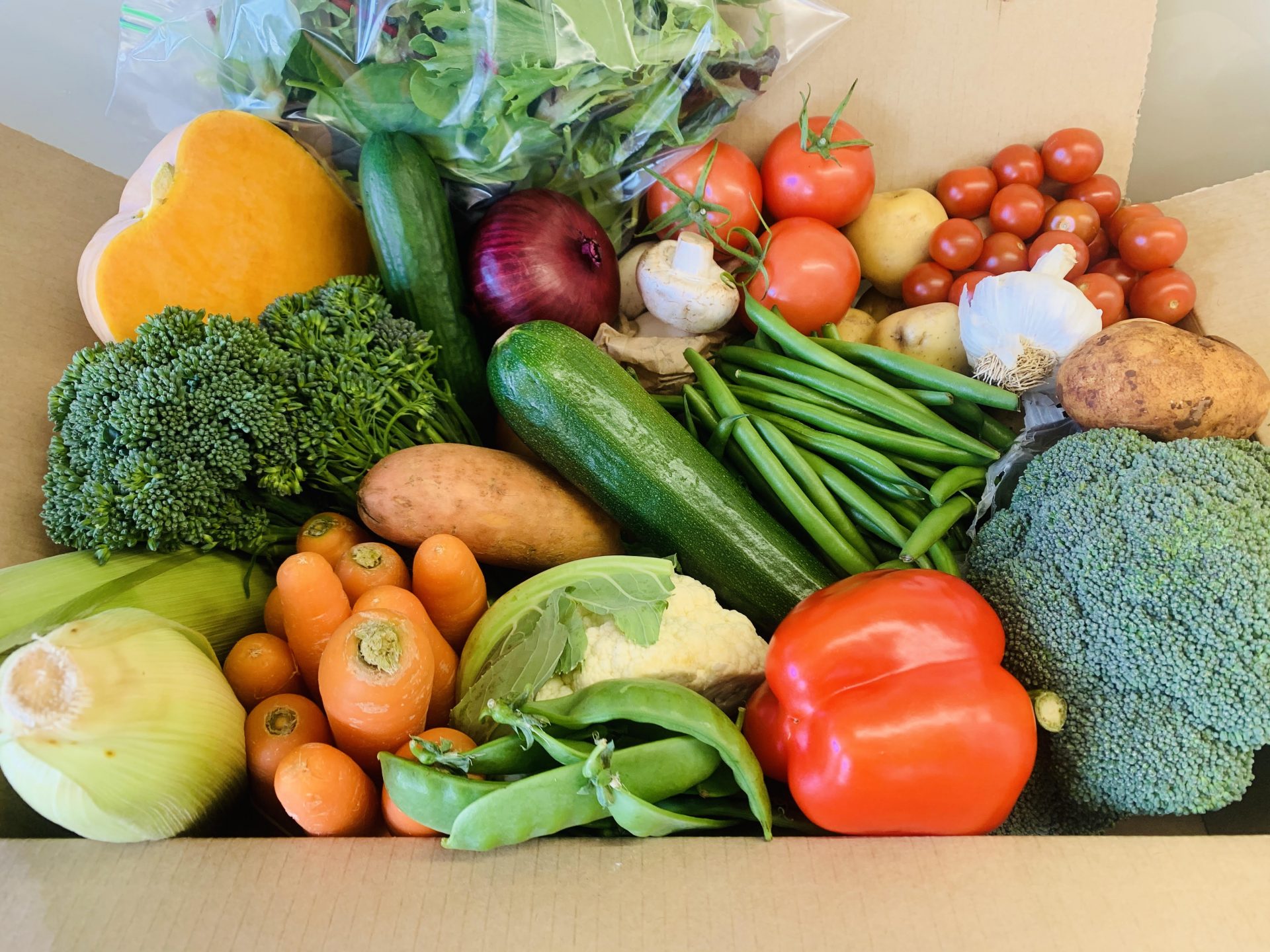 Vegetable Garden Wallpaper Wallpaper Gallery