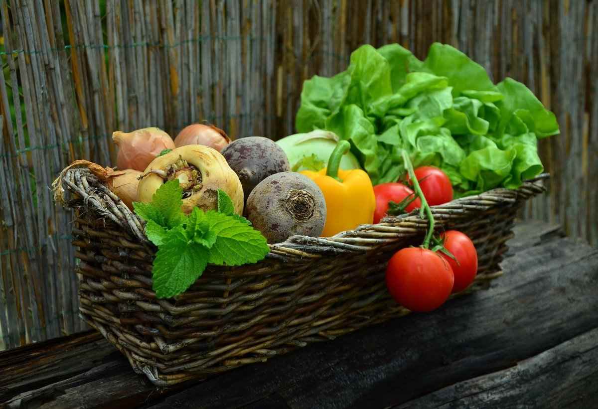 Vegetableseedsxjpgv