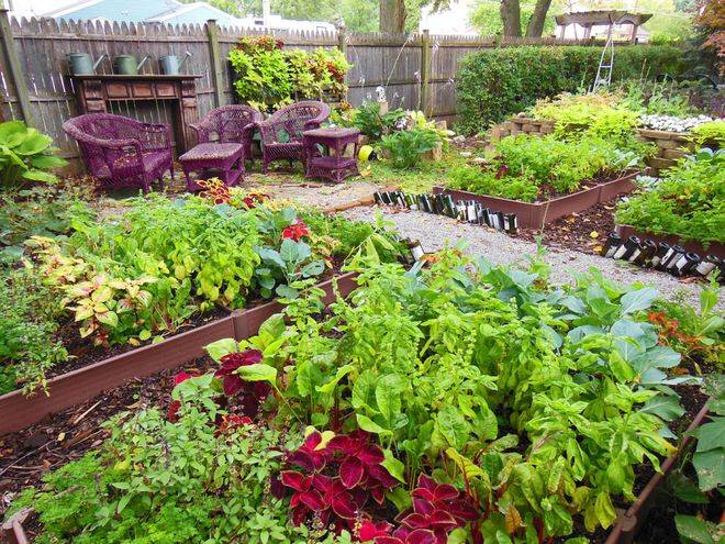 Most Productive Small Vegetable Garden Ideas