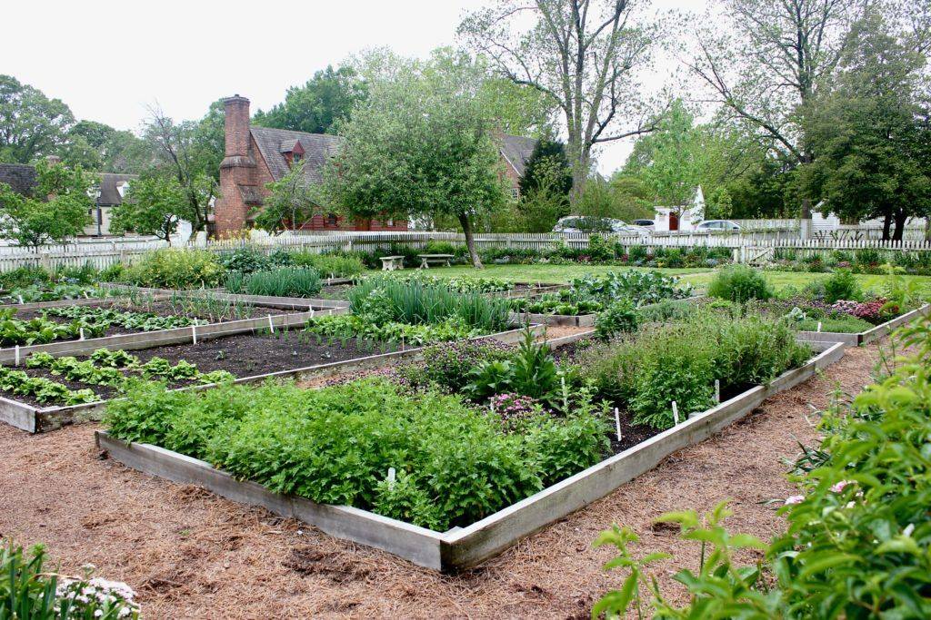 Most Productive Small Vegetable Garden Ideas