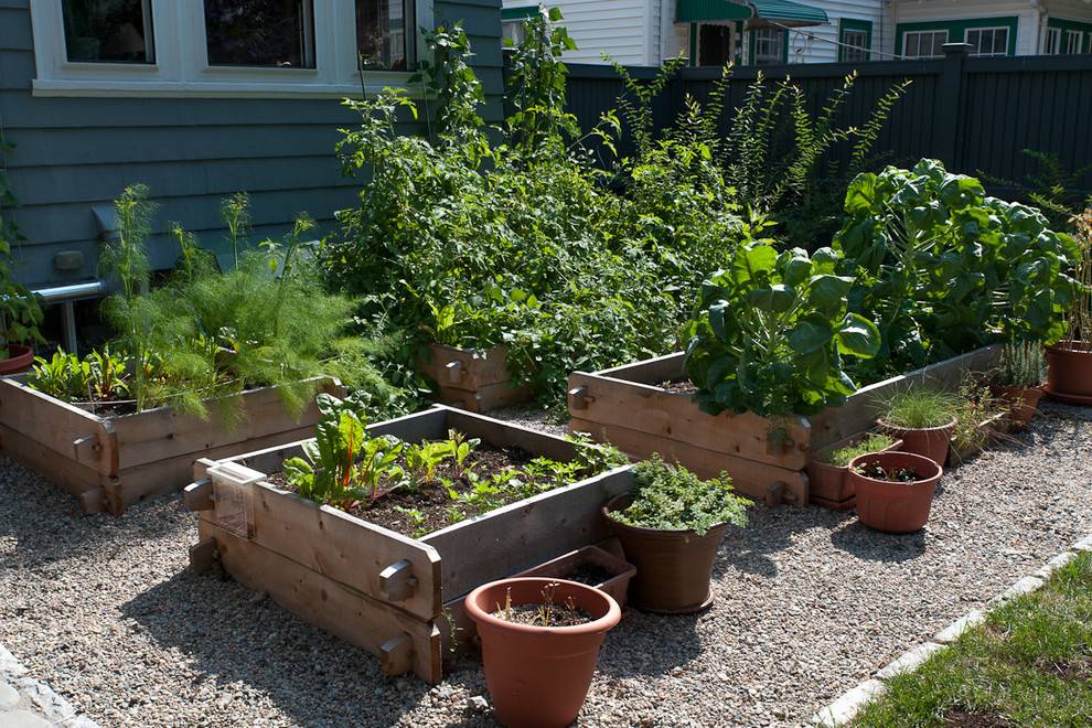 Most Productive Small Vegetable Garden Ideas