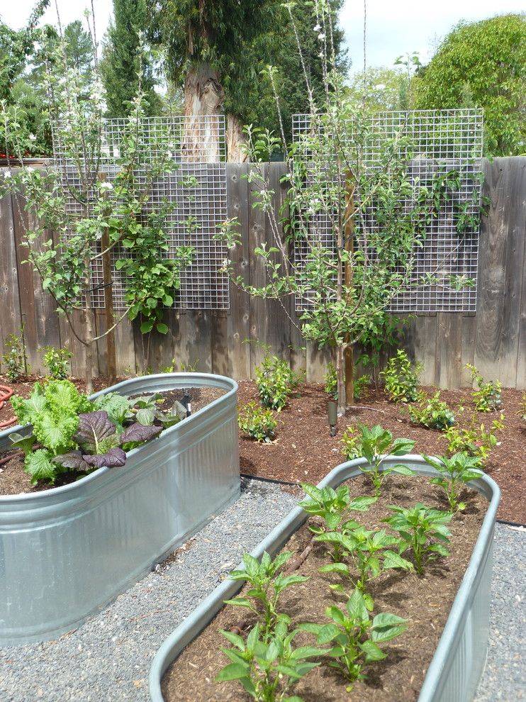 Most Productive Small Vegetable Garden Ideas