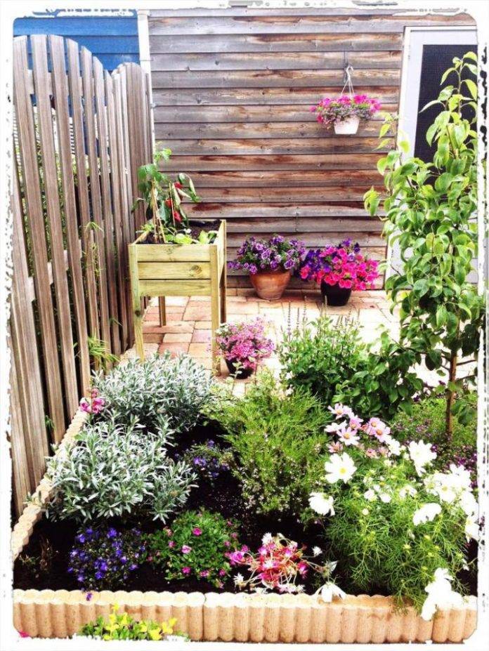 Most Productive Small Vegetable Garden Ideas