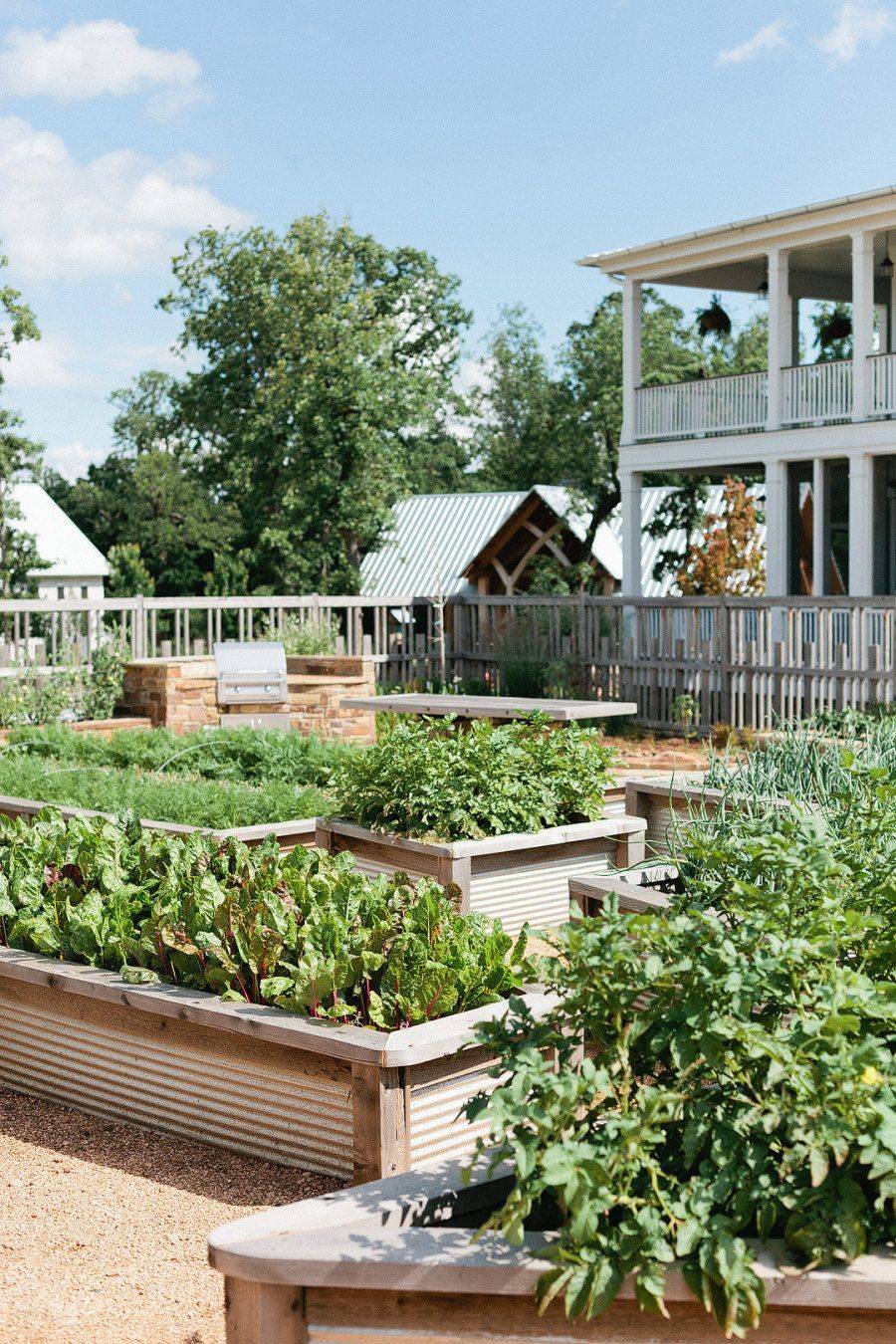 Most Productive Small Vegetable Garden Ideas