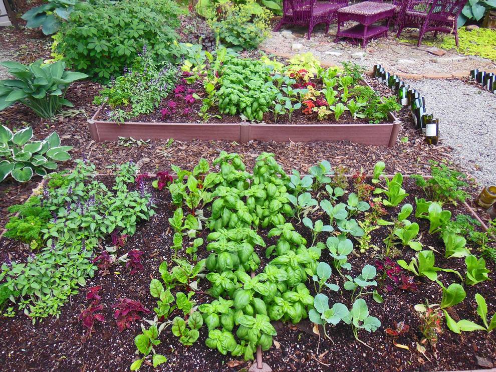 Most Productive Small Vegetable Garden Ideas
