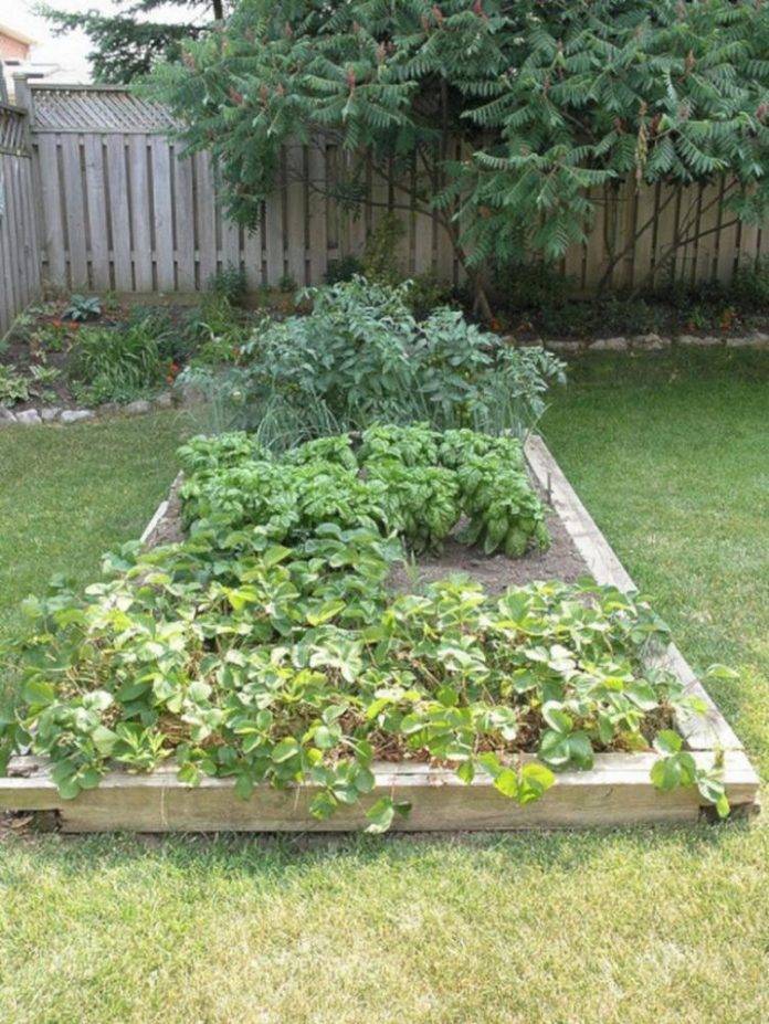 Most Productive Small Vegetable Garden Ideas