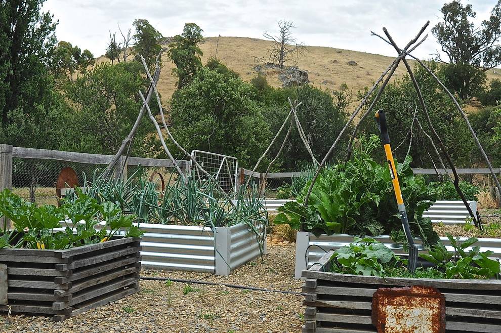 Eclectic Garden