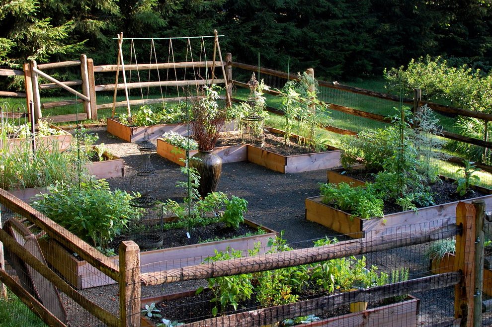 Edible Garden Eclectic Landscape San Francisco Arterra Llp