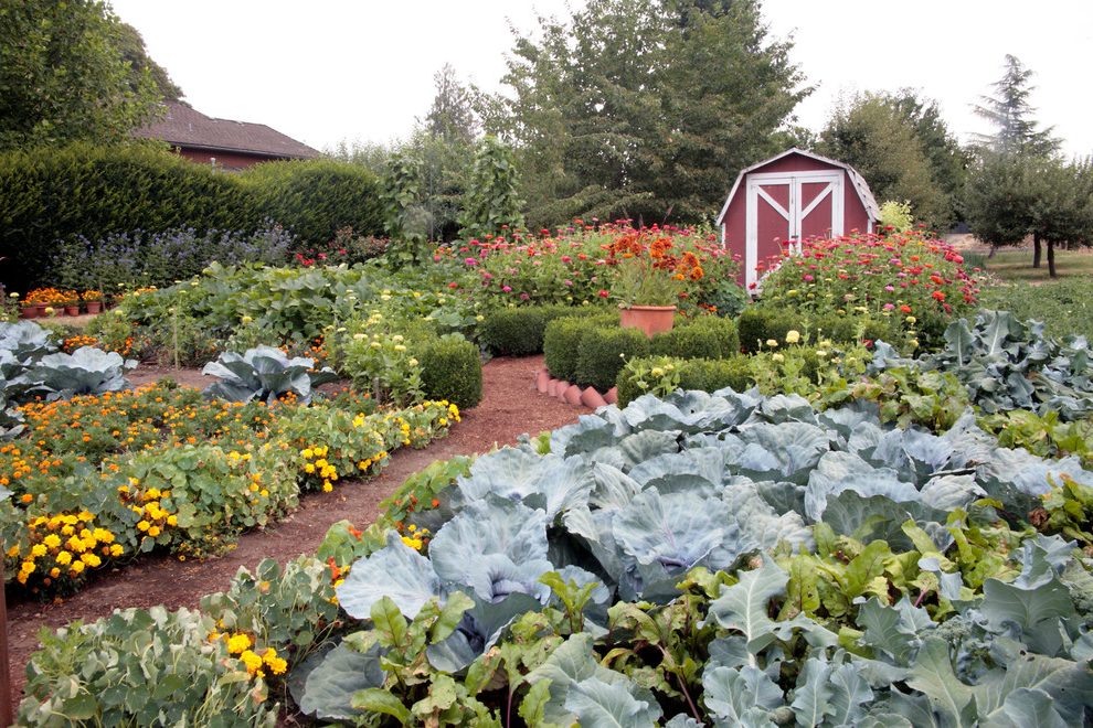 Gorgeous Eclectic Vegetable Garden Fence