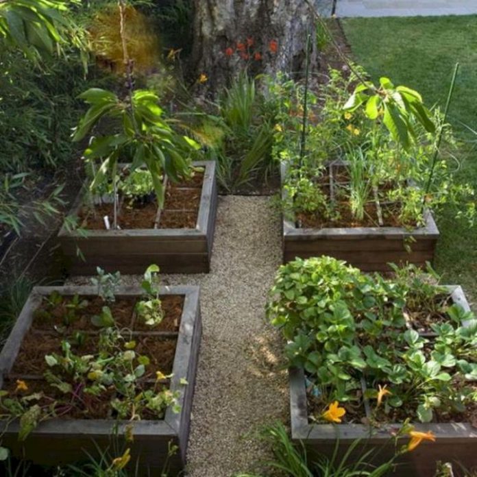 The Vegetable Garden Vegetable Garden