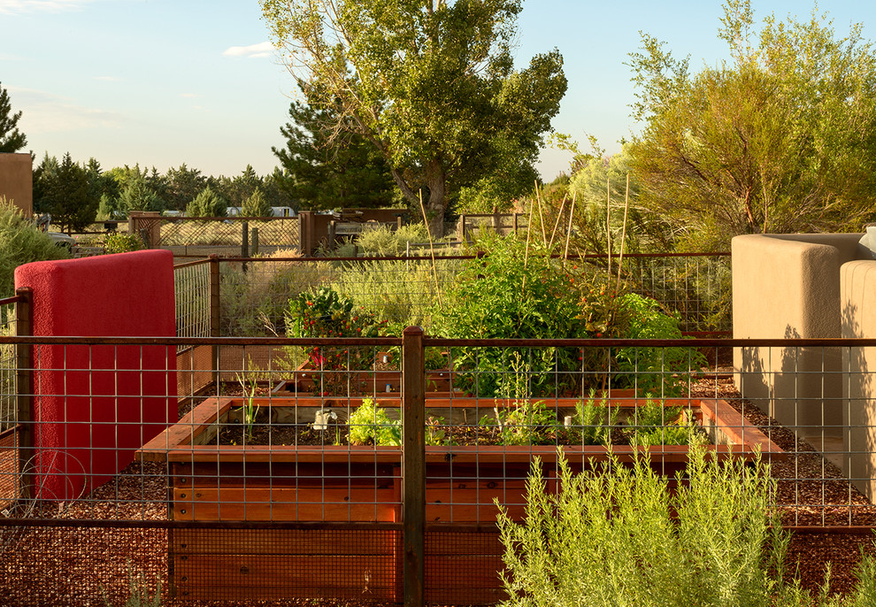 This Year Vegetable Garden