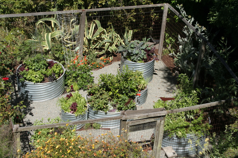 Vegetable Garden Eclectic Landscape Boston