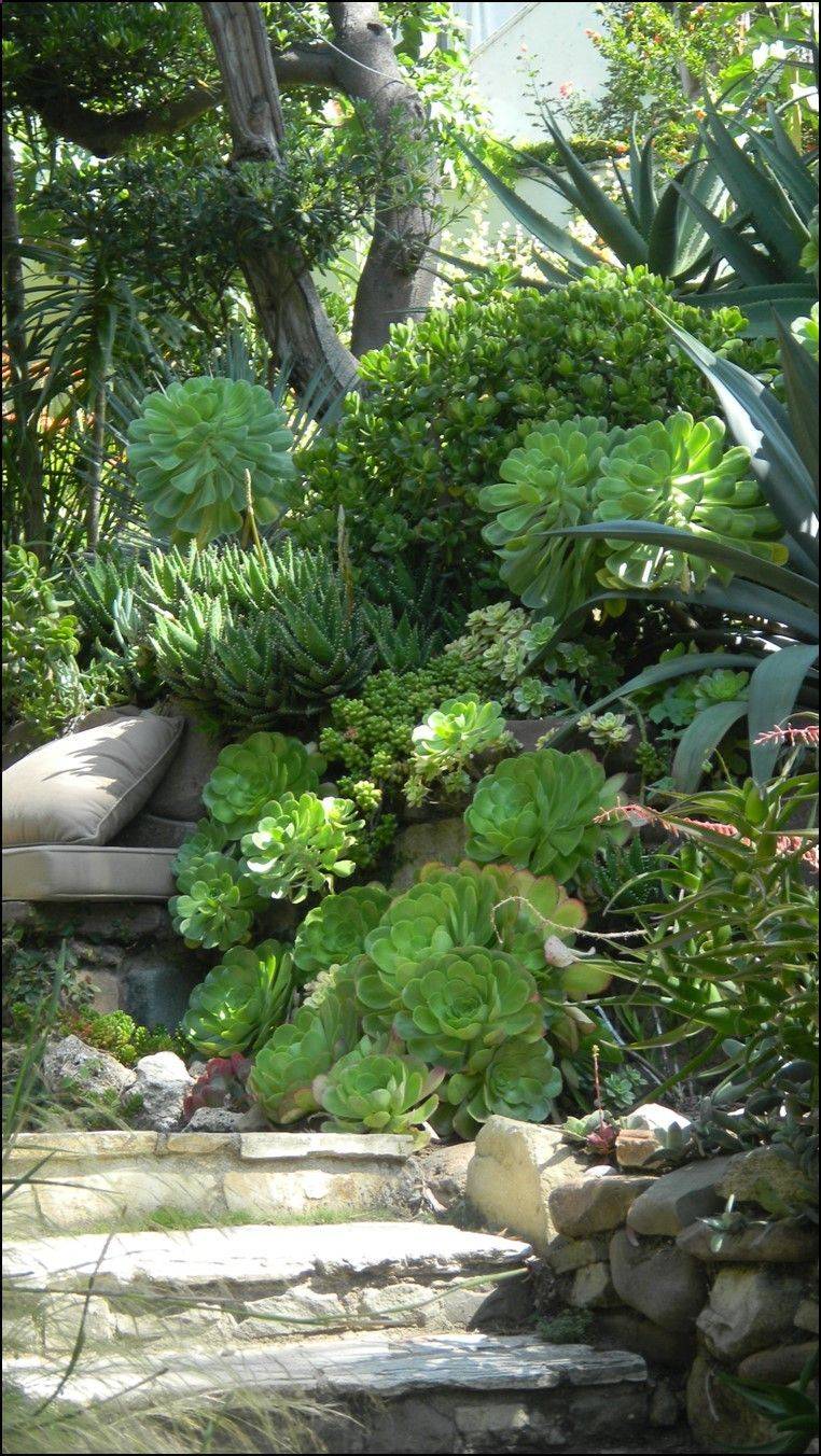 Charming Green Garden Ideas