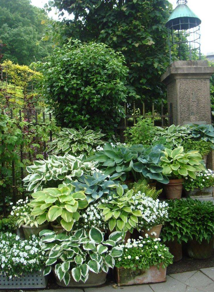 Modern Backyard Garden Ideas