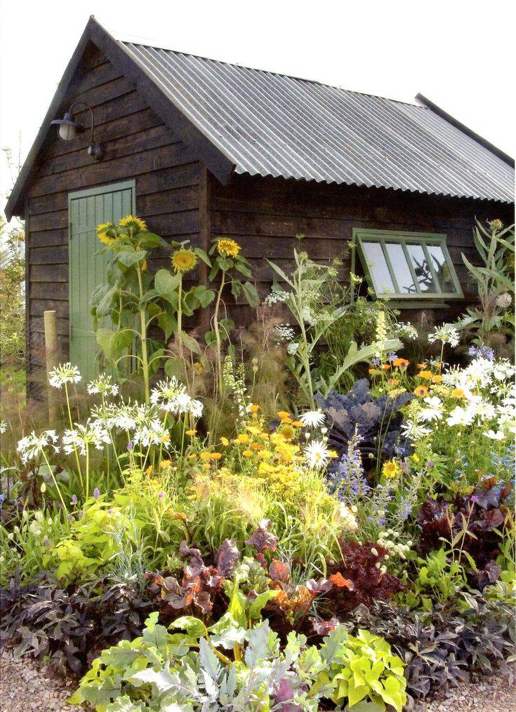 Modern Backyard Garden Ideas