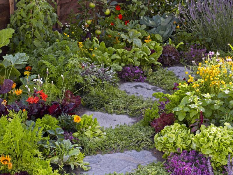 Elegant Edible Landscaping