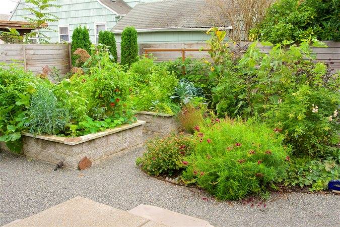 New Old Foodscaping Ideas