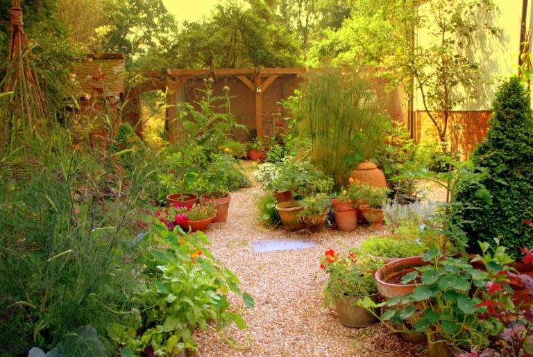 Vegetable Garden Layout