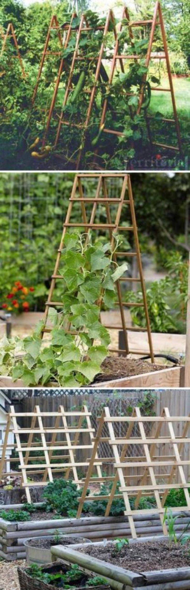 Diy Trellis Ideas