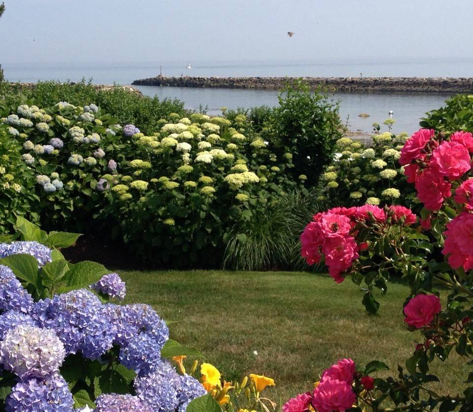Cape Cod Gardenista