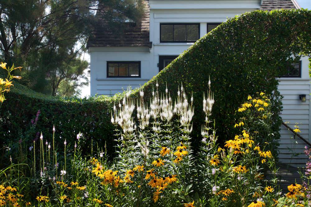 Beautiful Cape Cod Garden Gardening Ideas