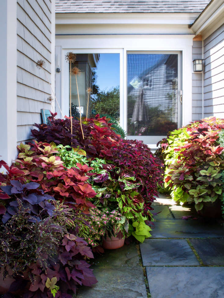 Landscape Design