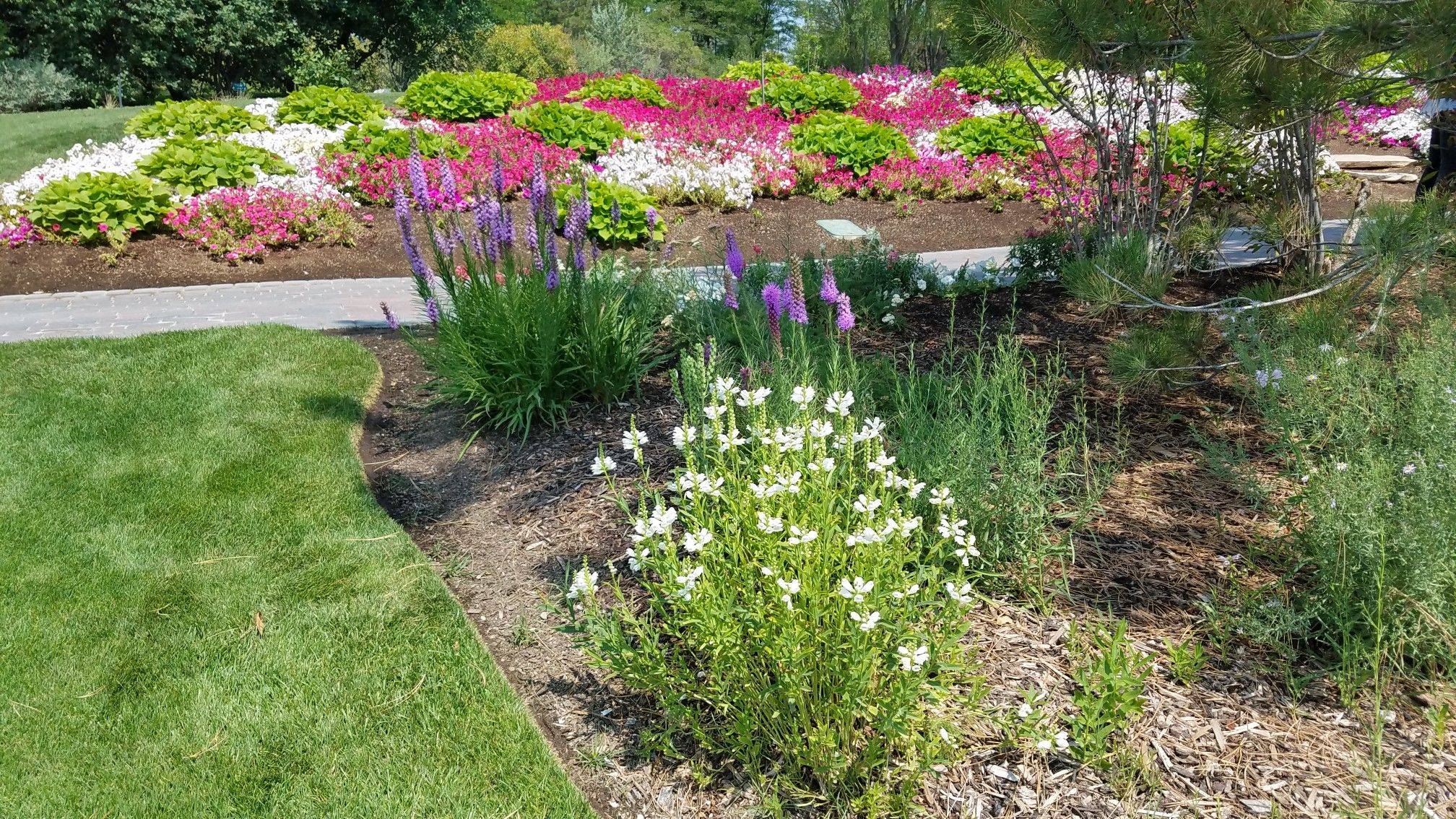 An Attractive Floral Display