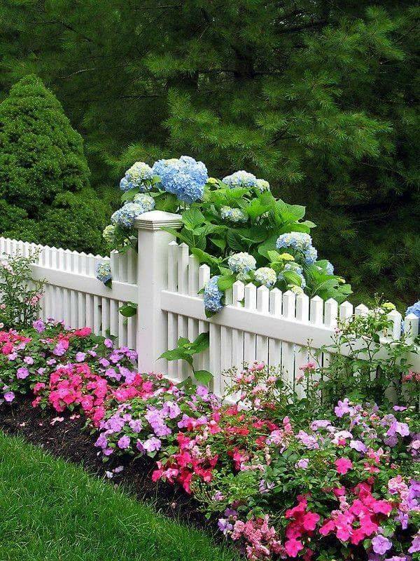 Dream Gardenscapes