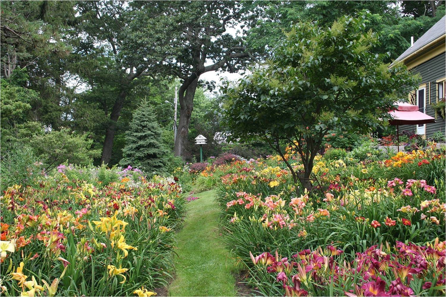 Pin On Flowers From Margarets Yard