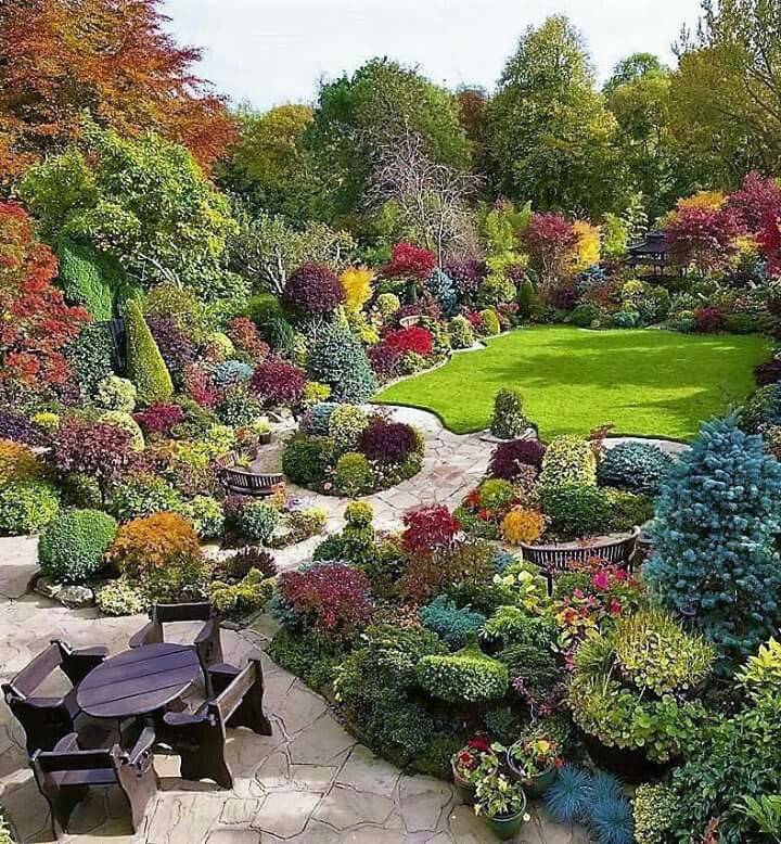 An Attractive Floral Display