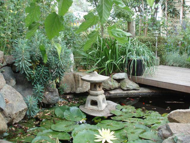 Gardens Inspiration Dimension Gardenscape Australia