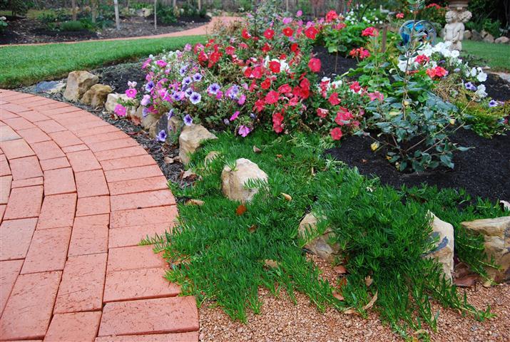 Our Australian Gardens