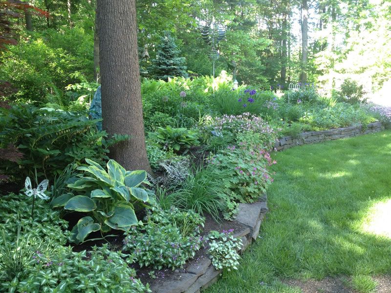 Irregular And Weirdshaped Backyards