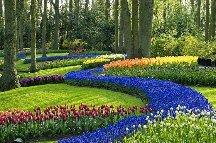 Amazing Gardenscapes