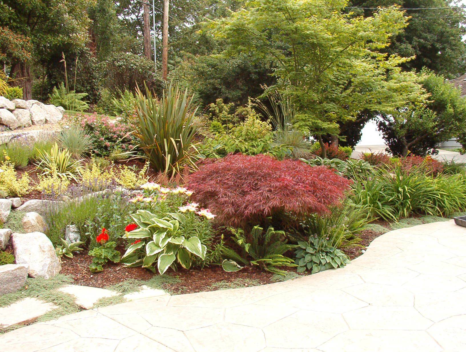 Gorgeous Gardenscapes Exploding