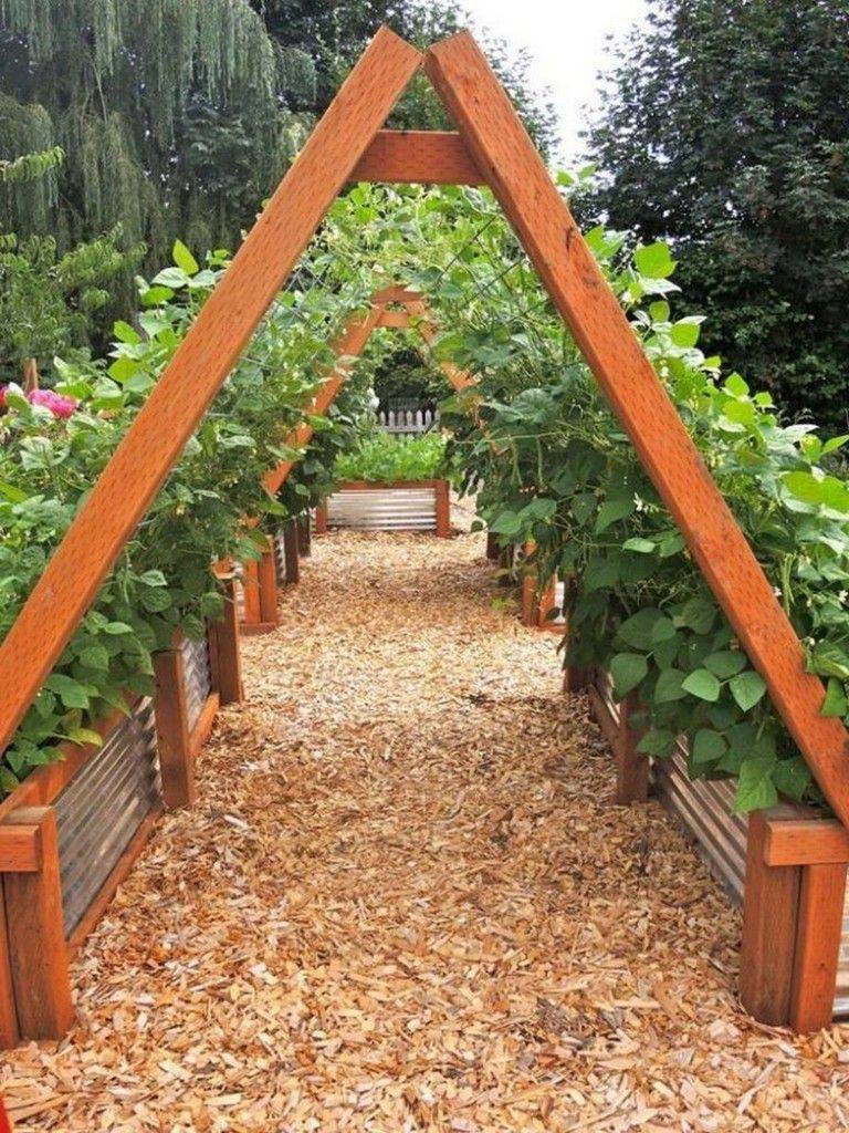 Interesting Vegetables Garden Ideas Gardenideazcom