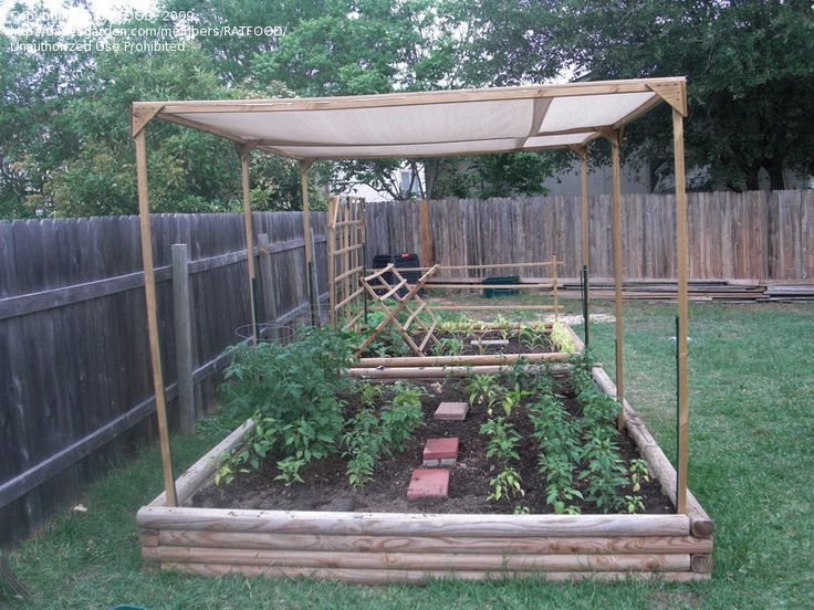 Your Own Backyard Vegetable Garden