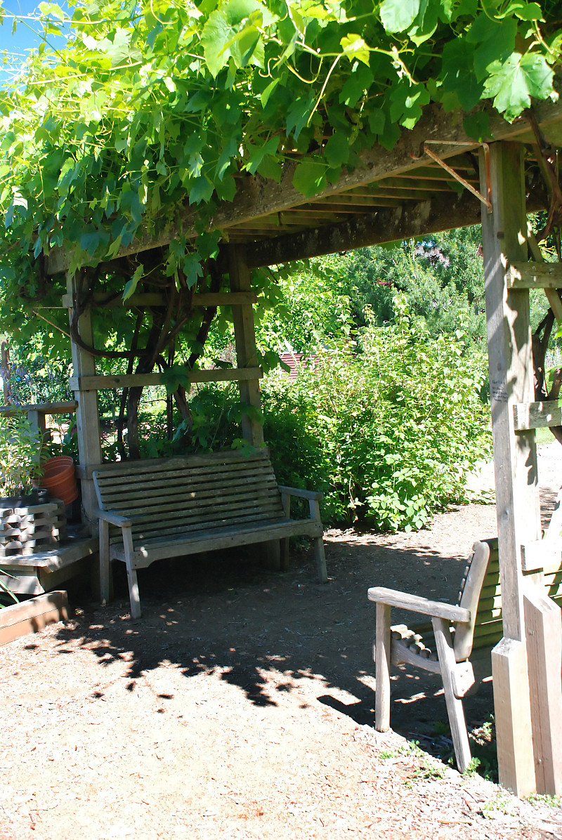 Related Image Vegetable Garden Design