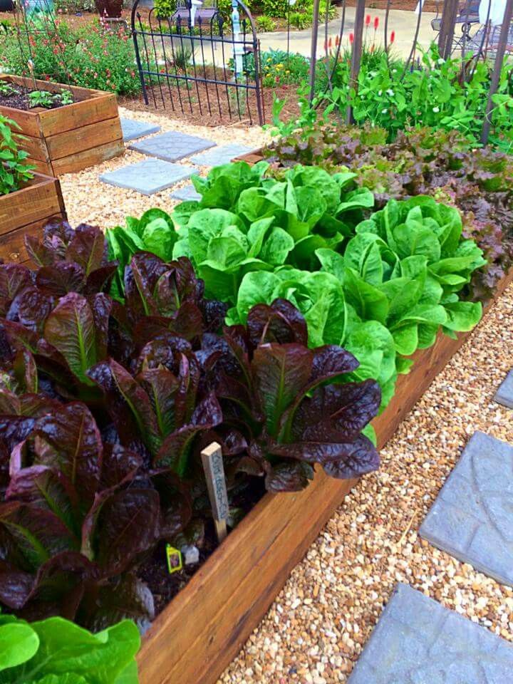 Marvelous Fall Container Garden Ideas