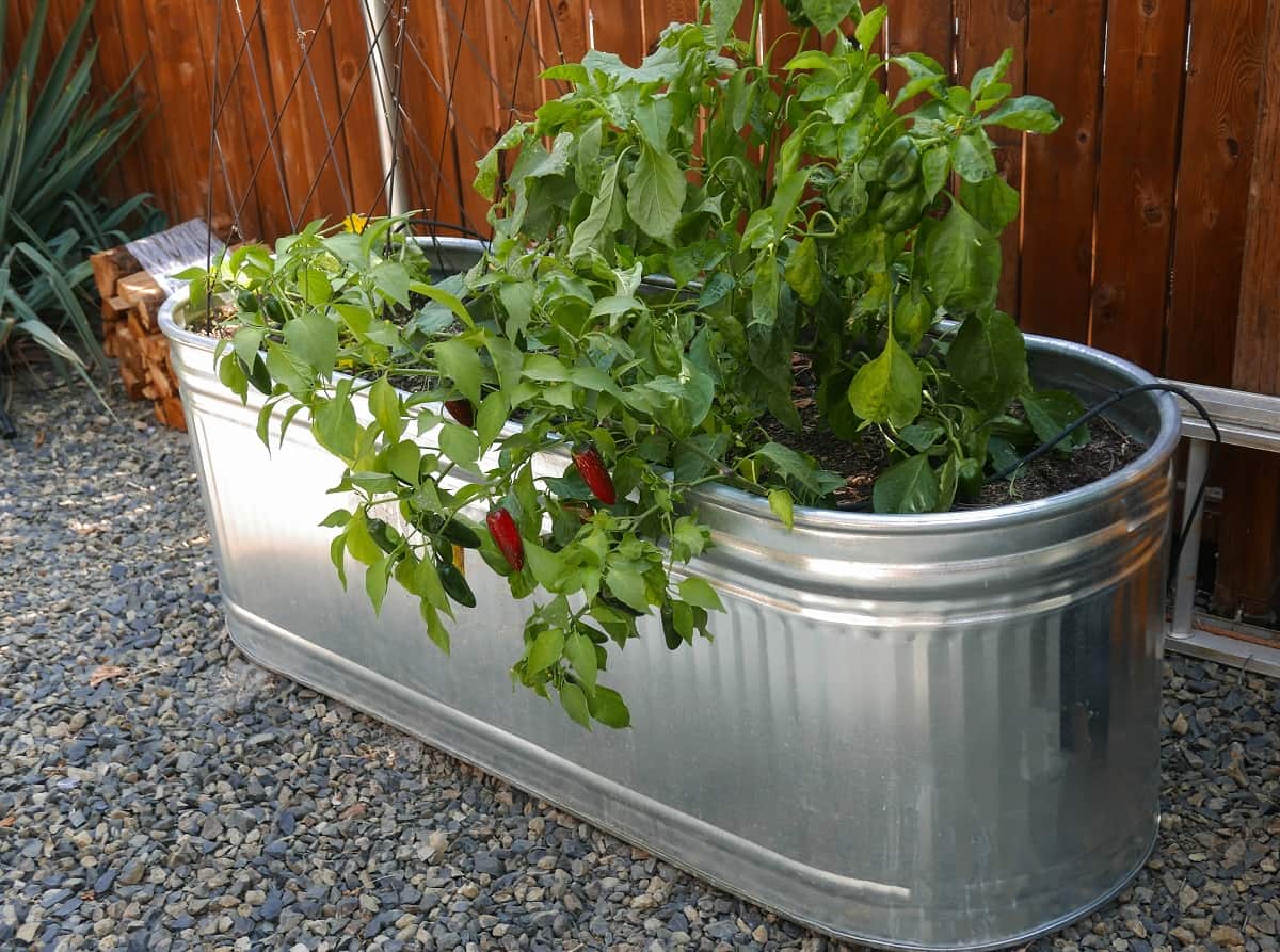 Marvelous Fall Container Garden Ideas