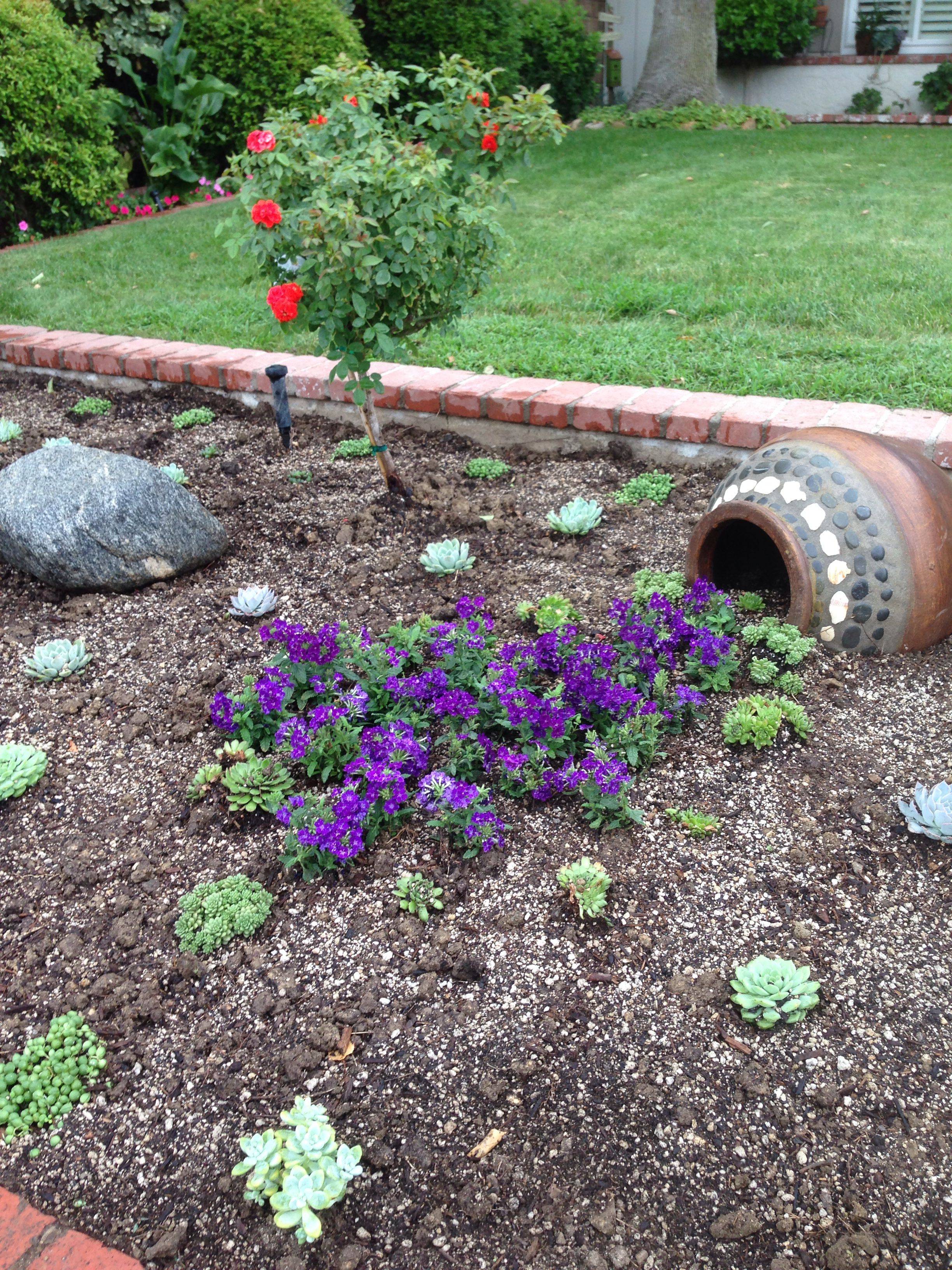 Creative Container Gardening Flowers