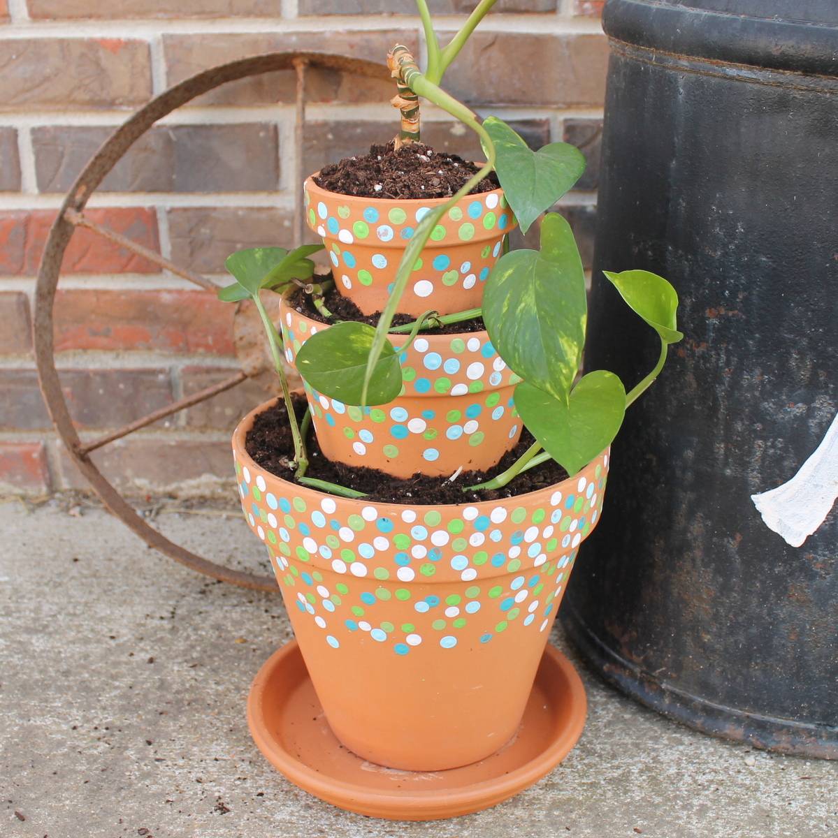 Broken Pot Garden