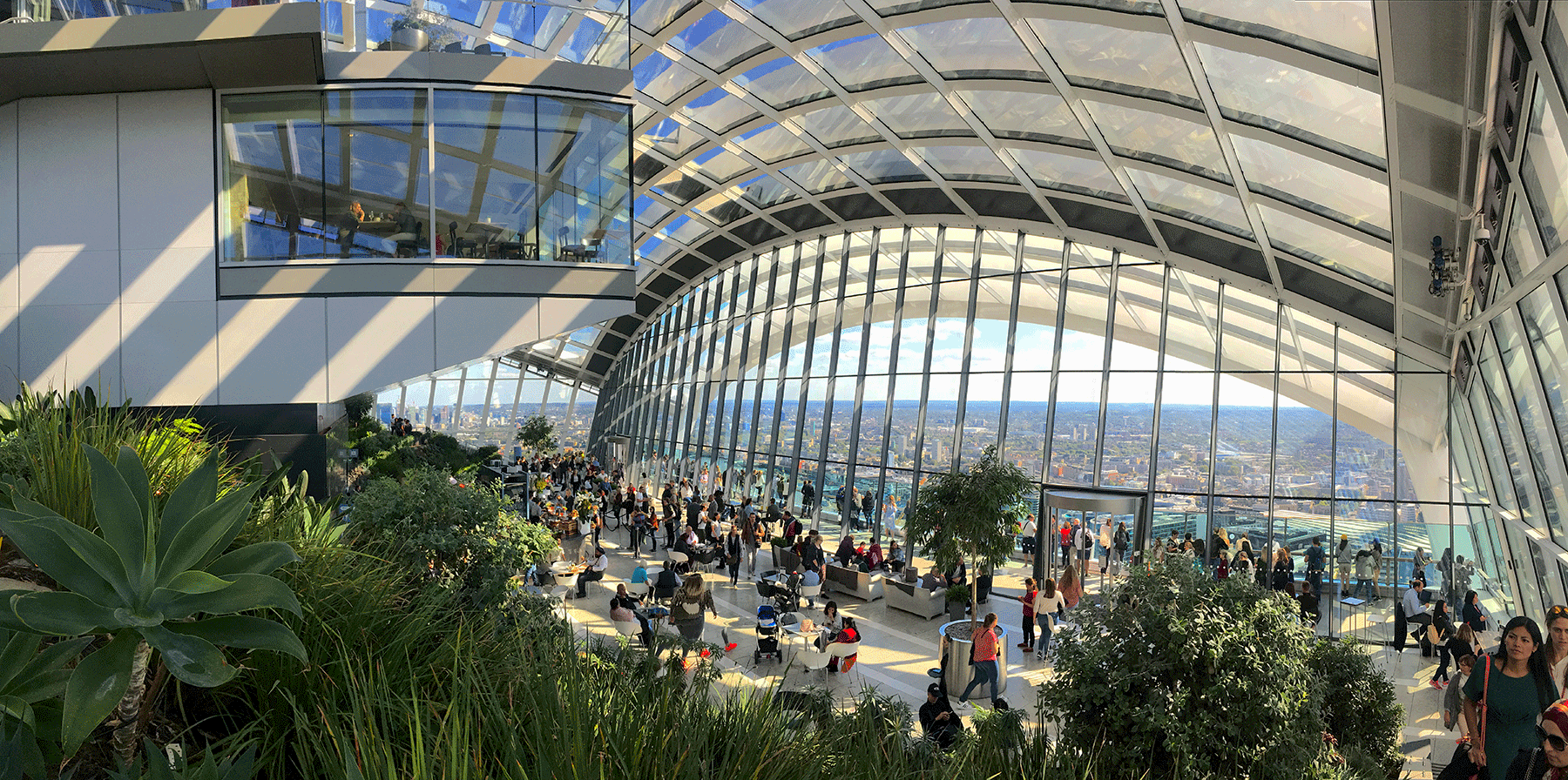 The New Sky Garden