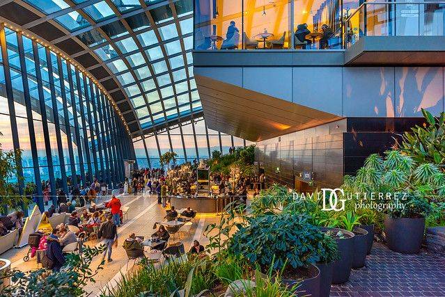 The Cheerful Wanderer