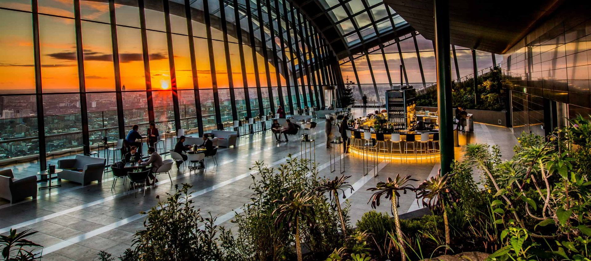 Skylark Roof Garden