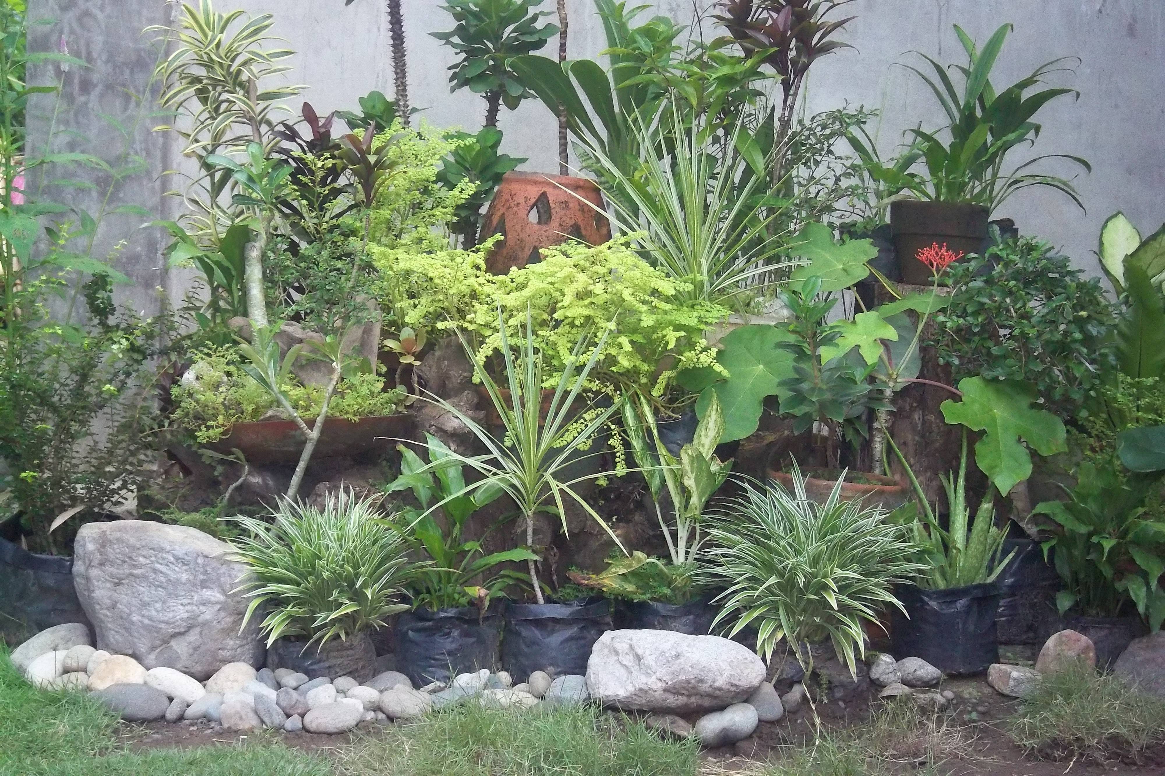 Small Flower Gardens