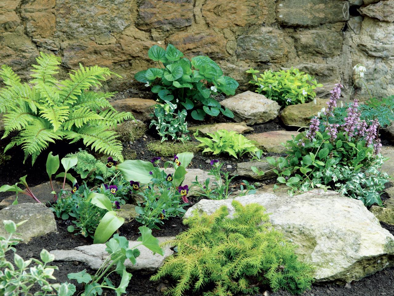 Stunning Ways To Plant Small Flower Ideas Talkdecor Rock Garden