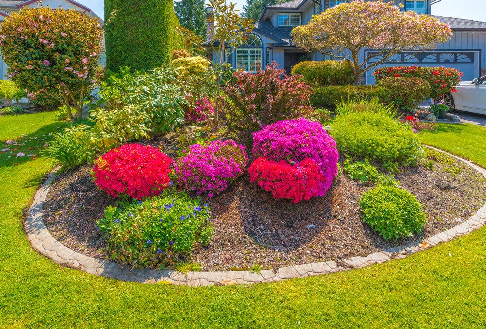 Lowmaintenance Landscaping Ideas