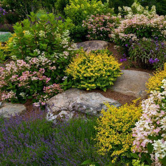 Ground Covers