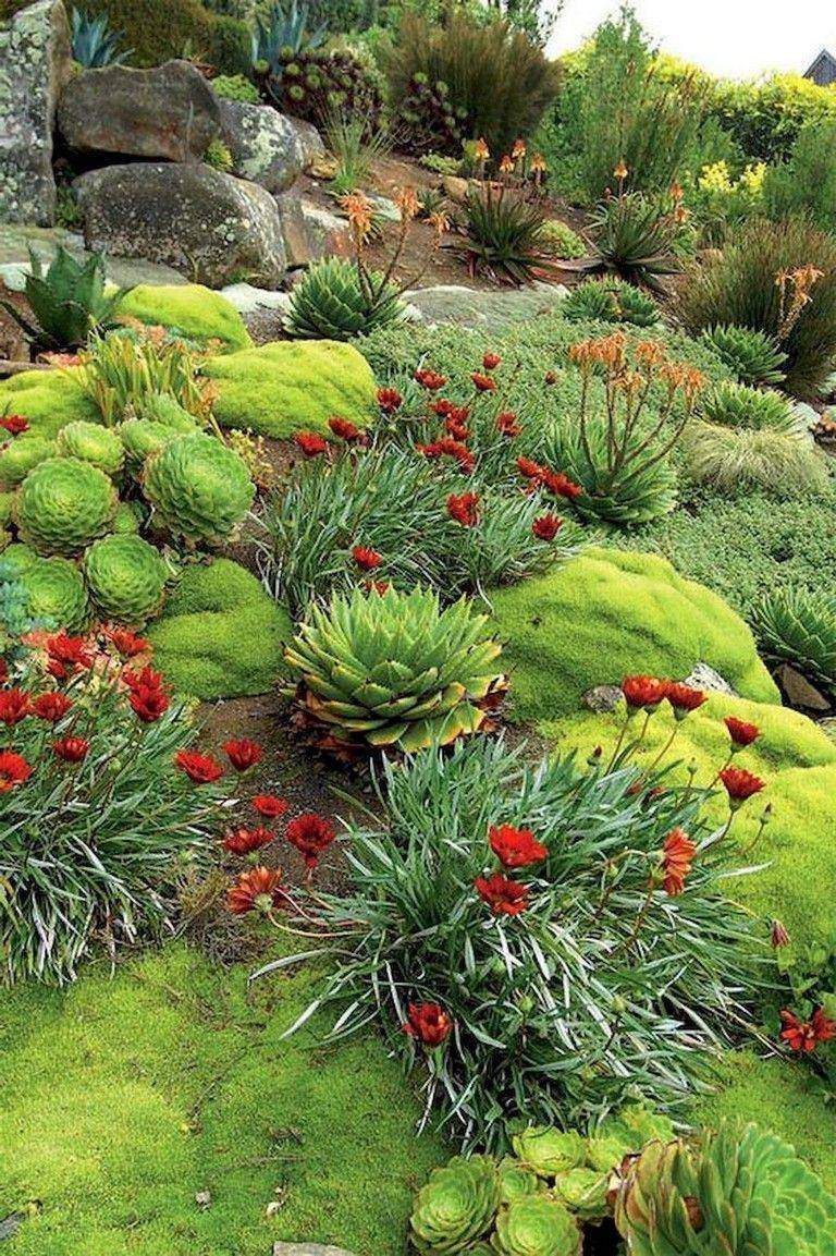 Beautiful Front Yards And Backyard Evergreen Garden Design Ideas